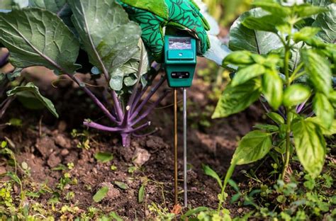 moisture meter agriculture|best soil moisture sensors.